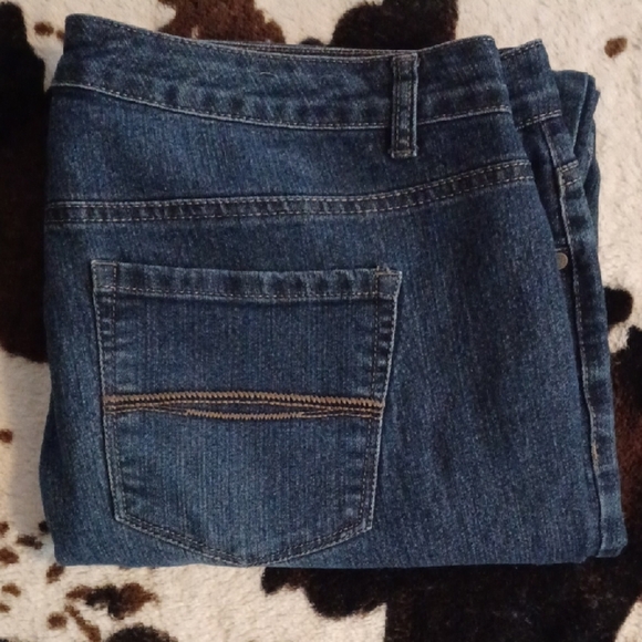 BANDOLINO Women's Blue Jeans, SIZE 16W. - Picture 10 of 10